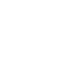 iron-dog-studio